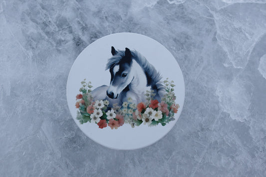 Horse Coaster